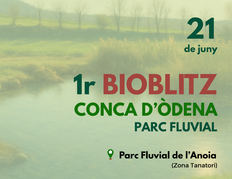 Cartell I Bioblitz