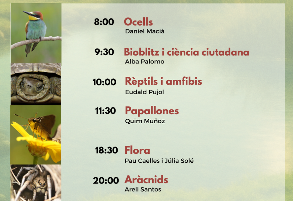 Horaris I BioBlitz